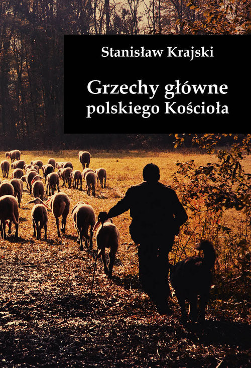 okładka Grzechy główne polskiego Kościoła książka | Stanisław Krajski