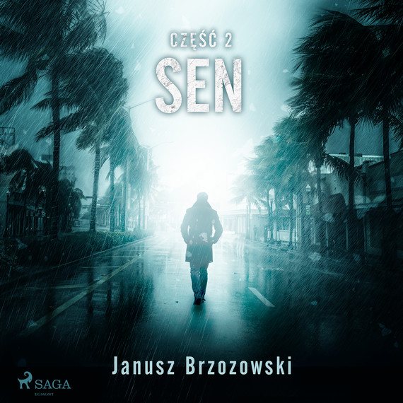okładka Sen audiobook | MP3 | Janusz Brzozowski