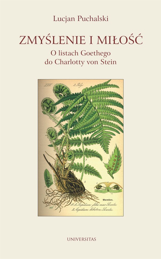 okładka Zmyślenie i miłość. O listach Goethego do Charlotty von Stein ebook | epub, mobi, pdf | Lucjan Puchalski