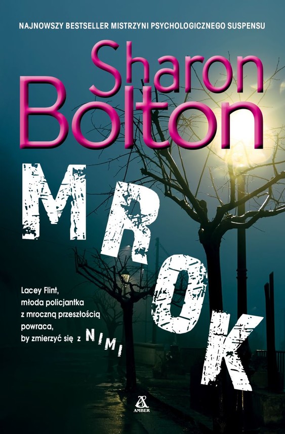 okładka Mrok książka | Sharon Bolton