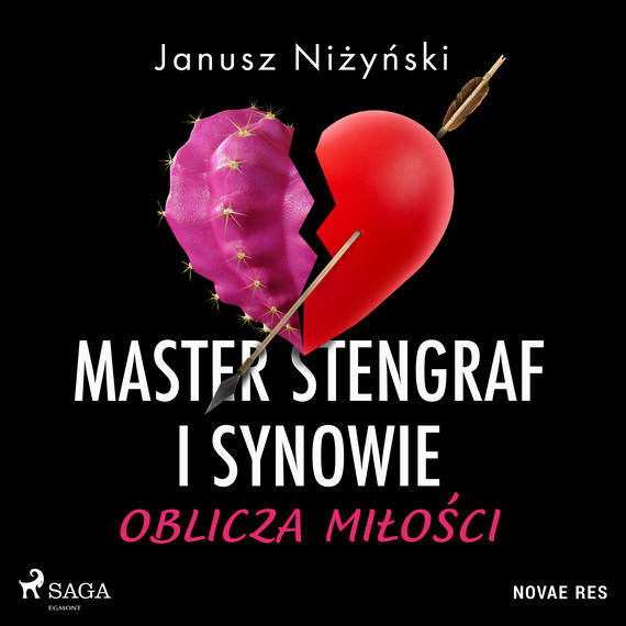 okładka Master Stengraf i synowie. Oblicza miłości audiobook | MP3 | Janusz Niżyński