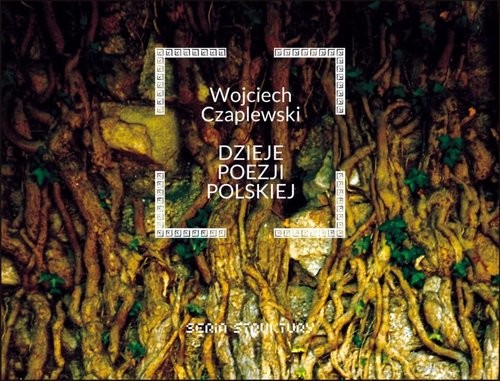 okładka Dzieje poezji polskiej książka | Wojciech Czaplewski