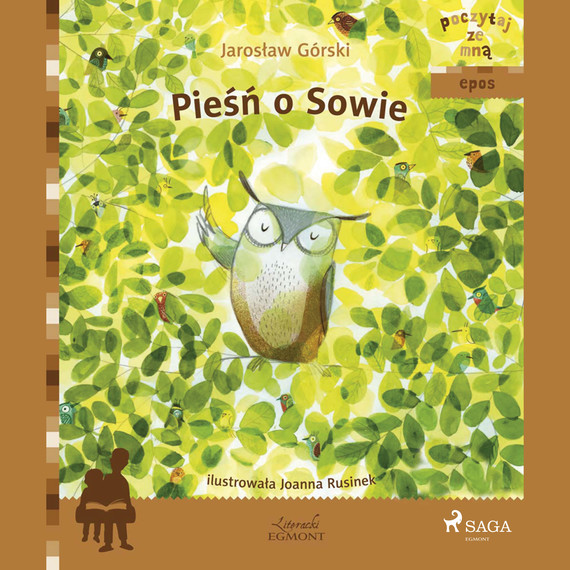 okładka Pieśń o Sowie audiobook | MP3 | Jarosław Górski