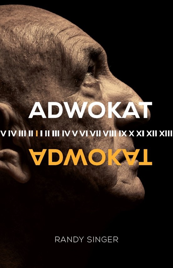 okładka Adwokat ebook | epub, mobi | Randy Singer