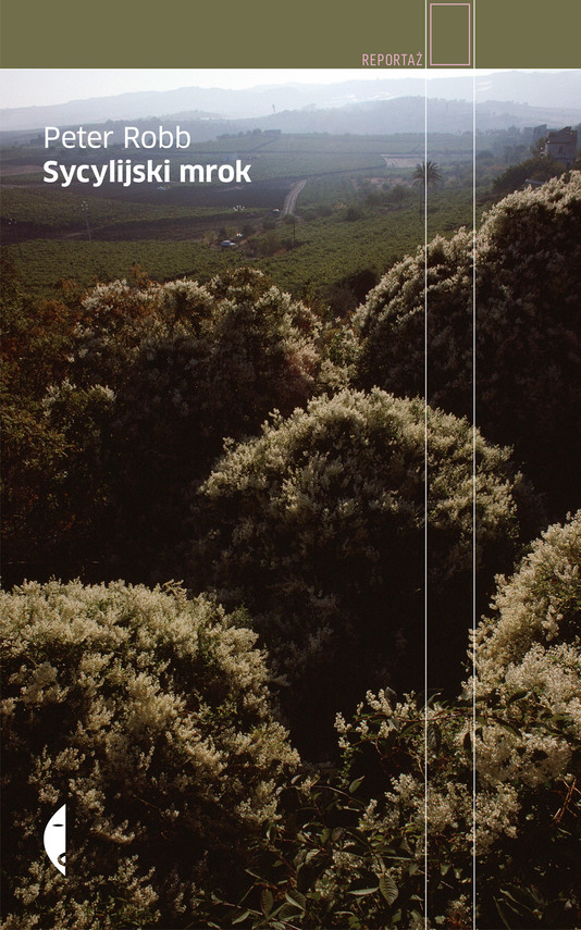 okładka Sycylijski mrok ebook | epub, mobi | Peter Robb