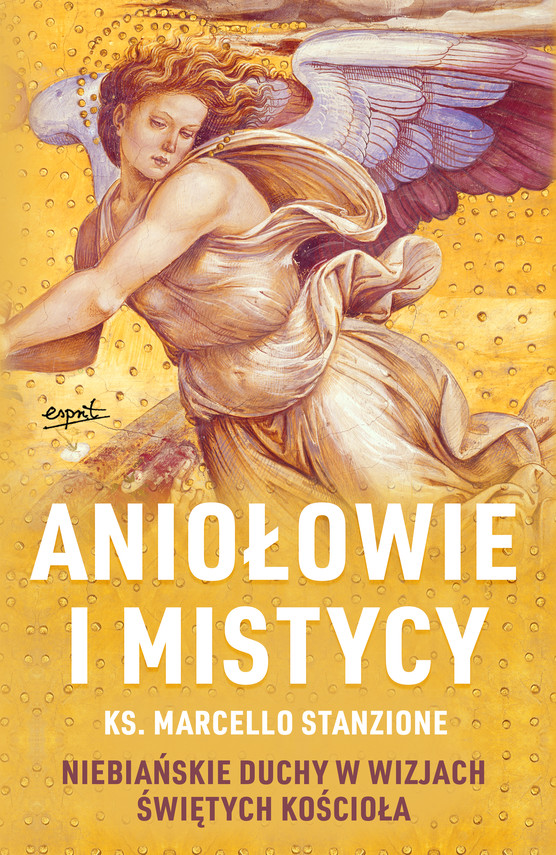 okładka Aniołowie i mistycy ebook | epub, mobi | Marcello Stanzione