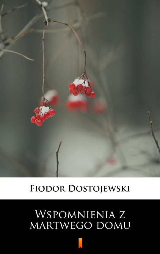 okładka Wspomnienia z martwego domu ebook | epub, mobi | Fiodor Dostojewski