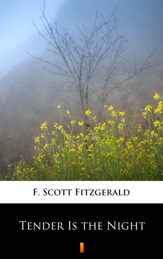 okładka Tender Is the Night ebook | epub, mobi | Francis Scott Fitzgerald