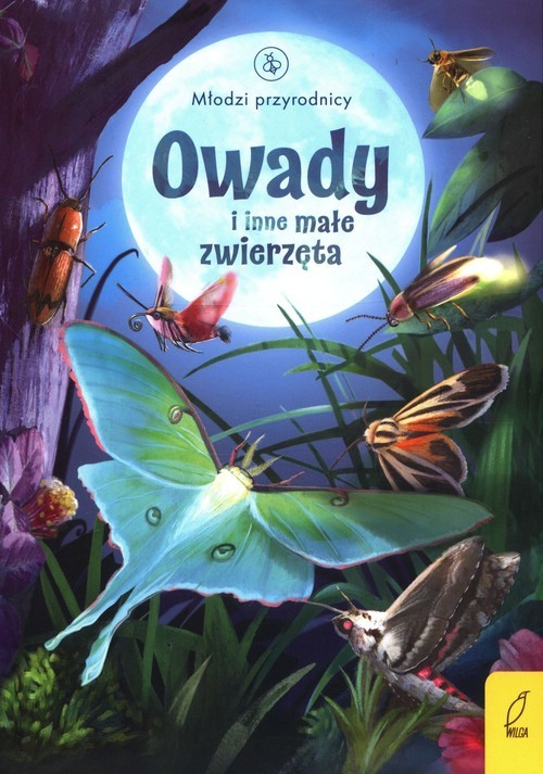 okładka Owady i inne małe zwierzęta książka | Emily Bone