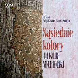 okładka Sąsiednie kolory audiobook | MP3 | Jakub Małecki