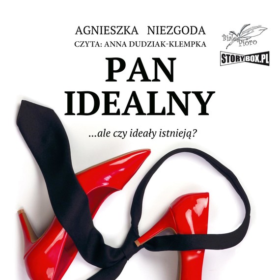 okładka Pan Idealny audiobook | MP3 | Agnieszka Niezgoda