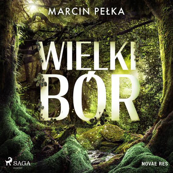 okładka Wielki Bór audiobook | MP3 | Marcin Pełka