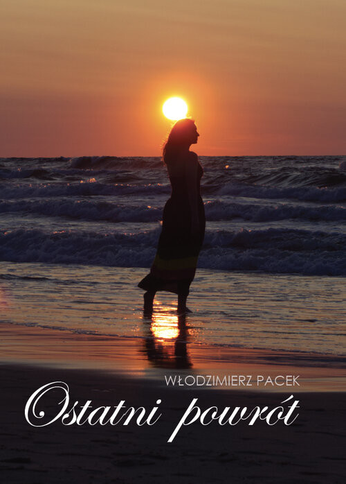 okładka Ostatni powrót książka | Włodzimierz Pacek