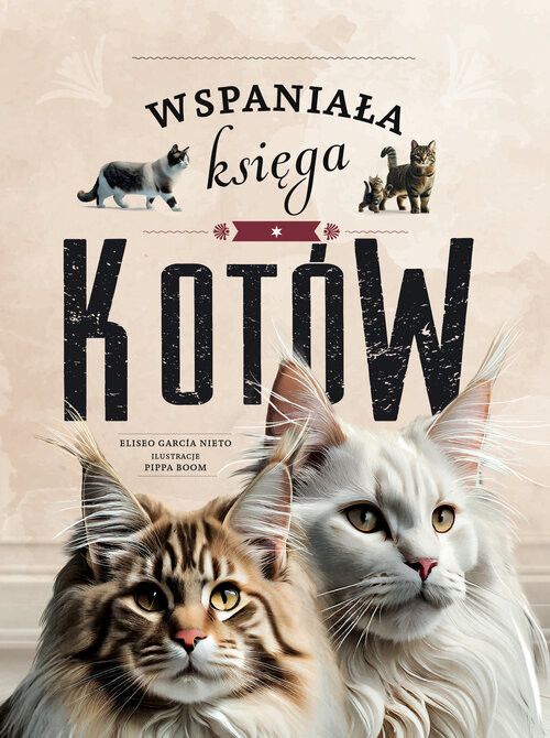okładka Wspaniała księga kotów książka