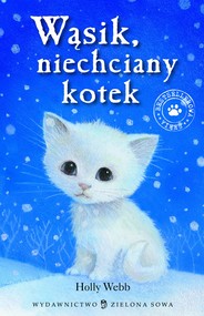 Wąsik niechciany kotek