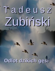 Odlot dzikich gęsi