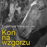 Koń na wzgórzu