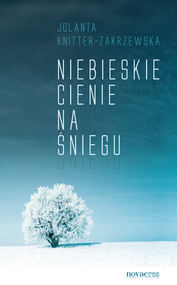 Niebieskie cienie na śniegu