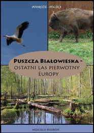 Puszcza Białowieska - Ostatni las pierwotny Europy
