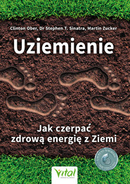 Jak czerpać zdrową energię z Ziemi - Uziemienie