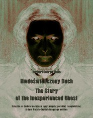 Niedoświadczony Duch. The Story of the Inexperienced Ghost