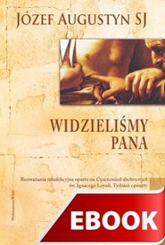Widzieliśmy Pana