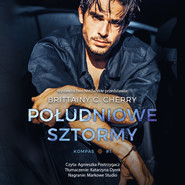 Południowe sztormy