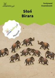 Słoń Birara