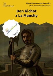 Don Kichot z La Manchy