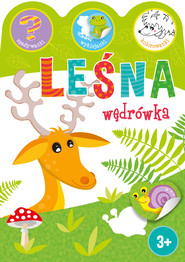 Leśna wędrówka
