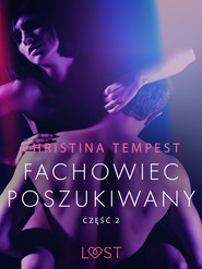Fachowiec poszukiwany część 2 – opowiadanie erotyczne