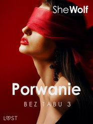 Bez Tabu 3: Porwanie – seria erotyczna