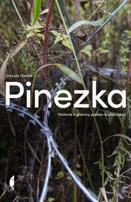 Pinezka