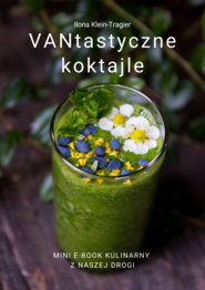 VANtastyczne koktajle, mini e-book kulinarny z naszej drogi