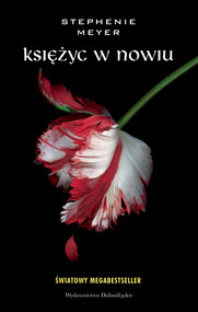 Księżyc w nowiu