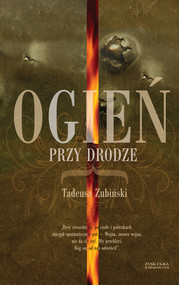 Ogień przy drodze