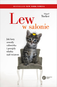 Lew w salonie.