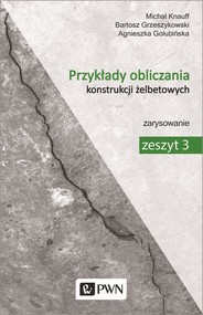 Przykłady obliczania konstrukcji żelbetowych. Zeszyt 3