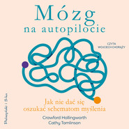 Mózg na autopilocie
