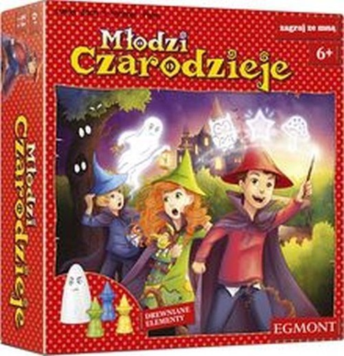 okładka Młodzi czarodzieje książka | Lukas Zach, Michael Palm