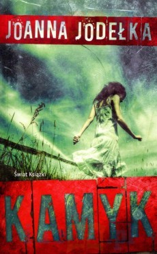 okładka Kamyk książka | Joanna Jodełka