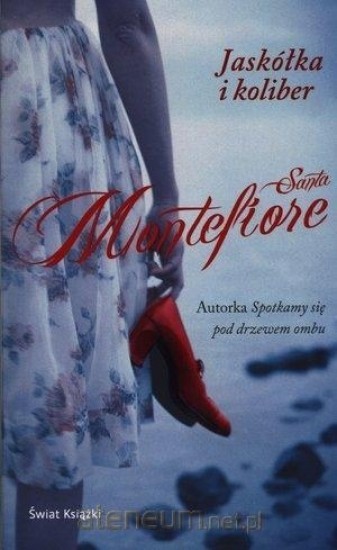 okładka Jaskółka i koliber książka | Santa Montefiore