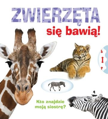 okładka Zwierzęta się bawią! książka | Opracowania Zbiorowe