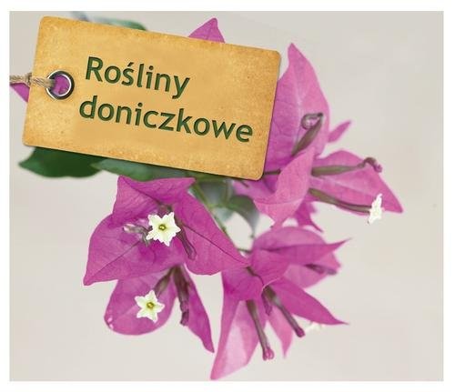 okładka Rośliny doniczkowe. 99 szybkich porad książka | Tanja Ratsch