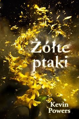 okładka Żółte ptaki  książka | Kevin Powers