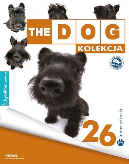 okładka Terier szkocki książka