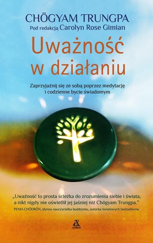 okładka Uważność w działaniu książka | Chogyam Trungpa
