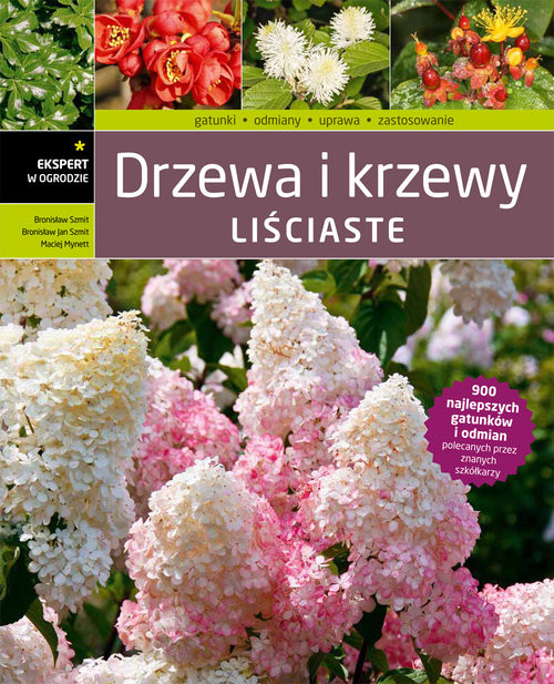 okładka Drzewa i krzewy liściaste książka