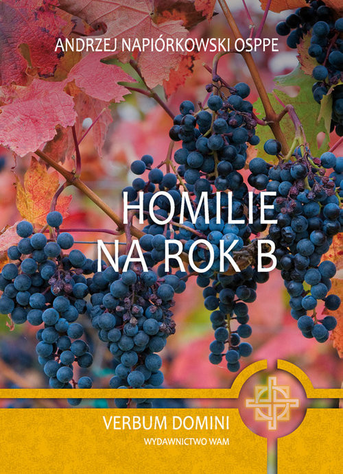 okładka Homilie na rok B książka | o. Andrzej Napiórkowski