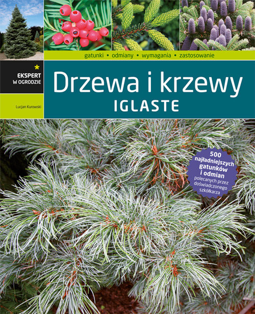 okładka Drzewa i krzewy iglaste książka | Lucjan Kurowski